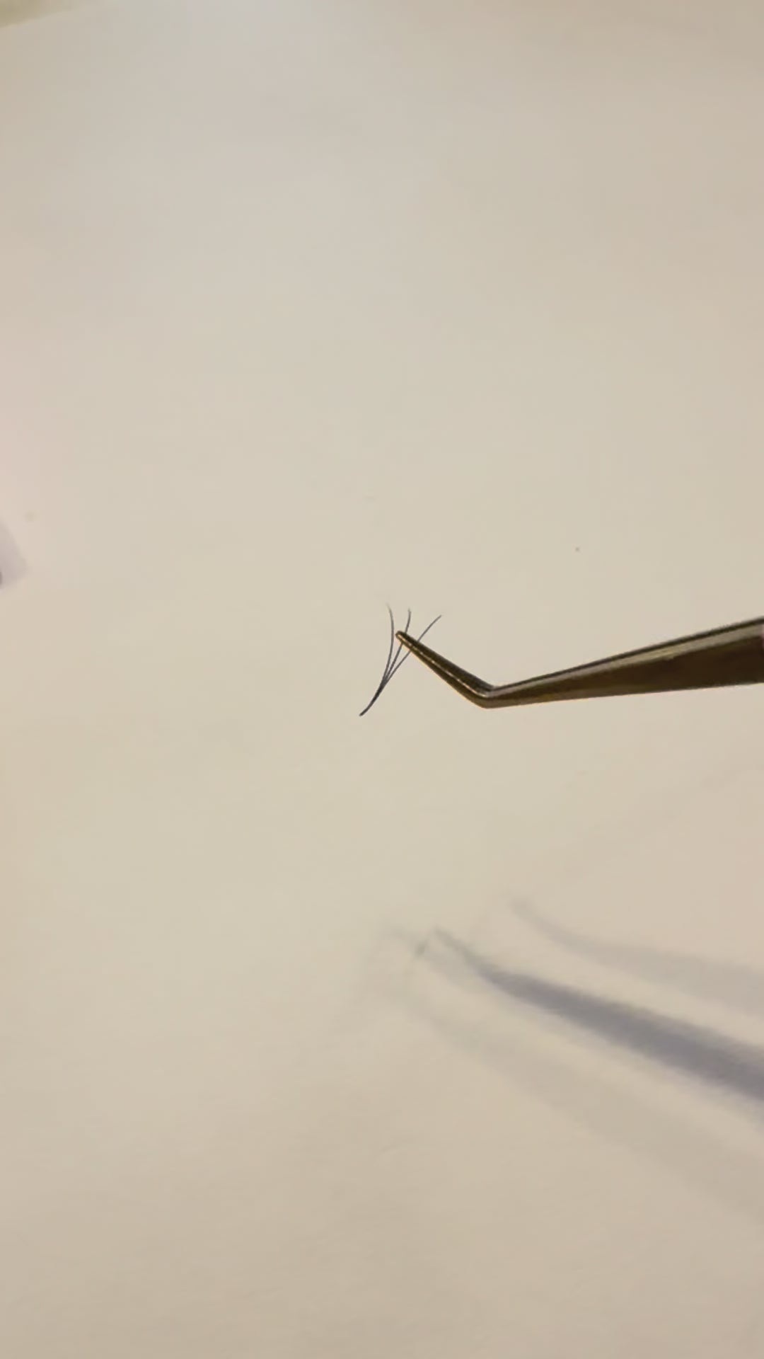 Gene Flat 3D